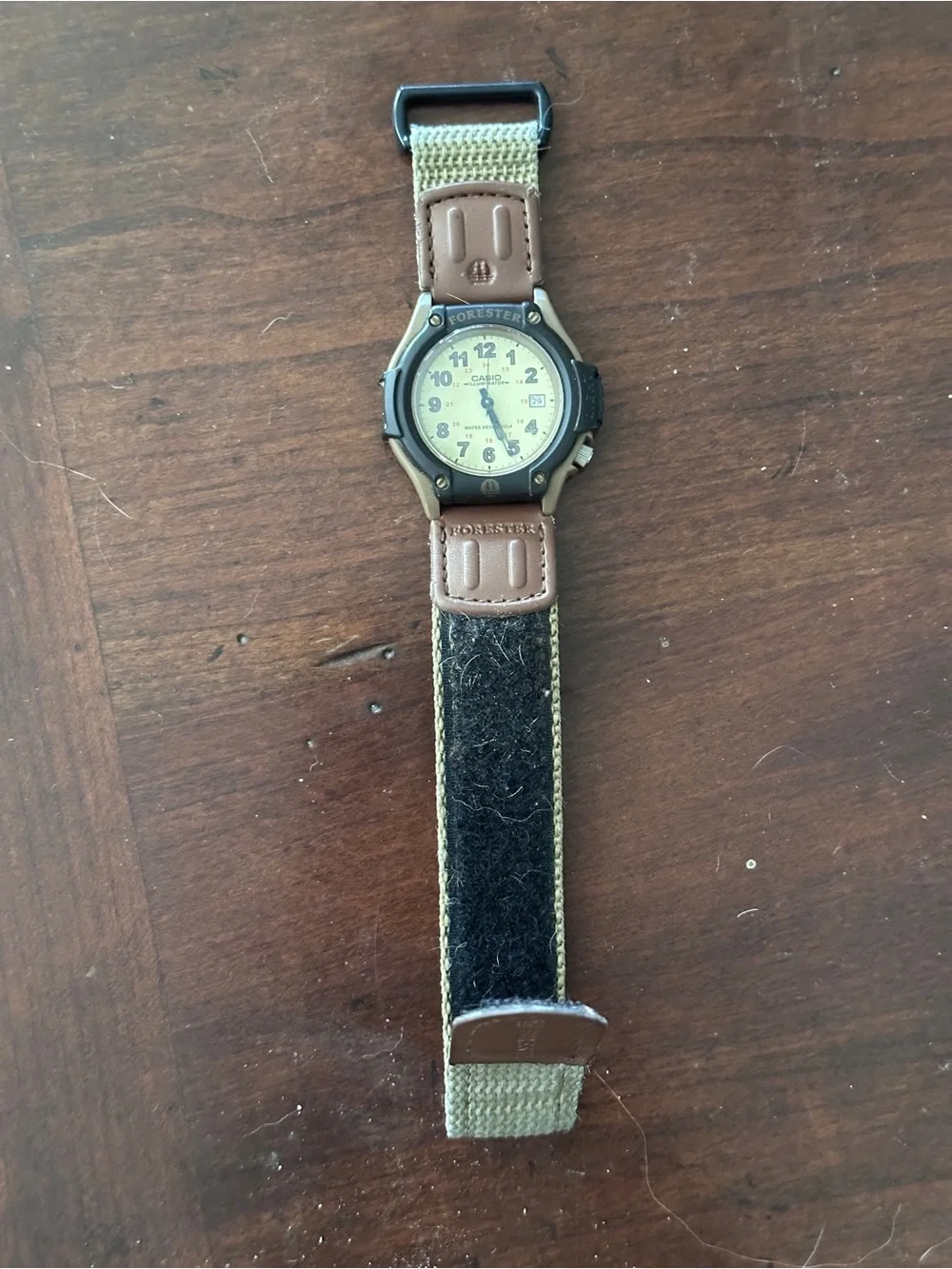 Casio forester watch